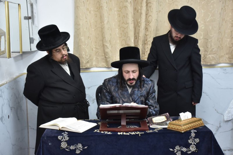 יהודה פרקוביץ