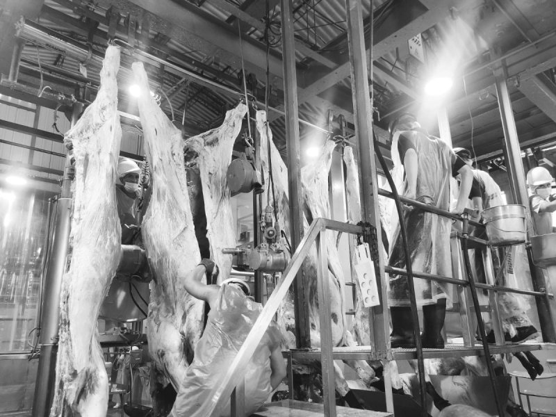 בית חב"ד פרו