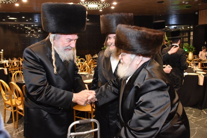 יהודה פרקוביץ