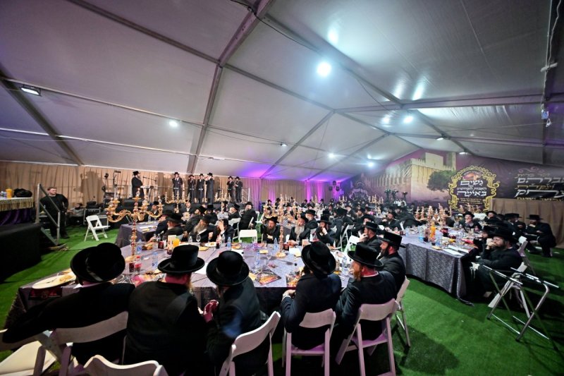 יהושע פרוכטר