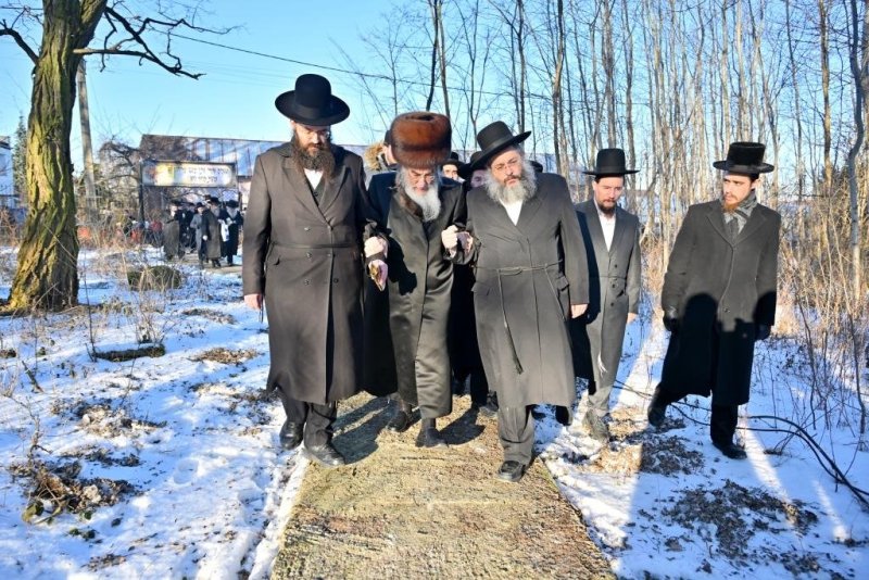 יהושע פרוכטר