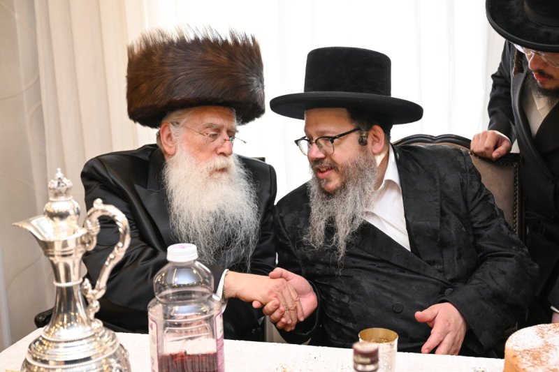 משה גולדשטיין דוד ארזני