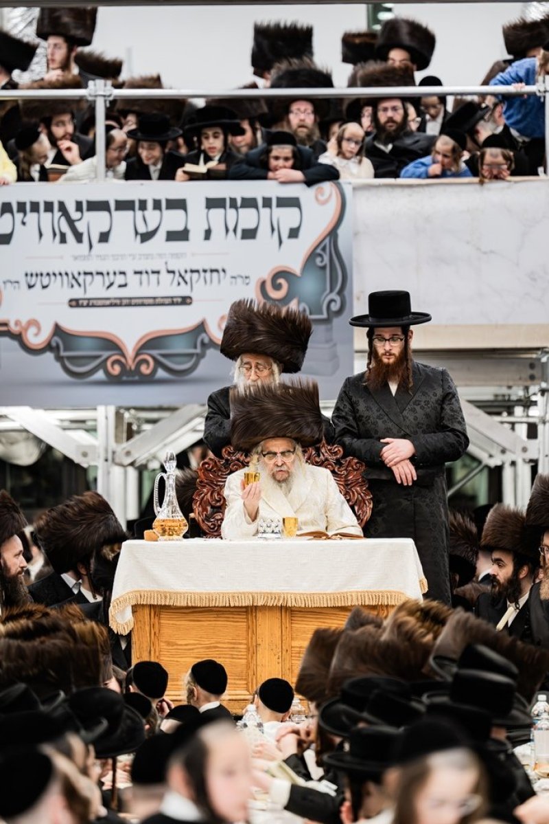 י. שטיין