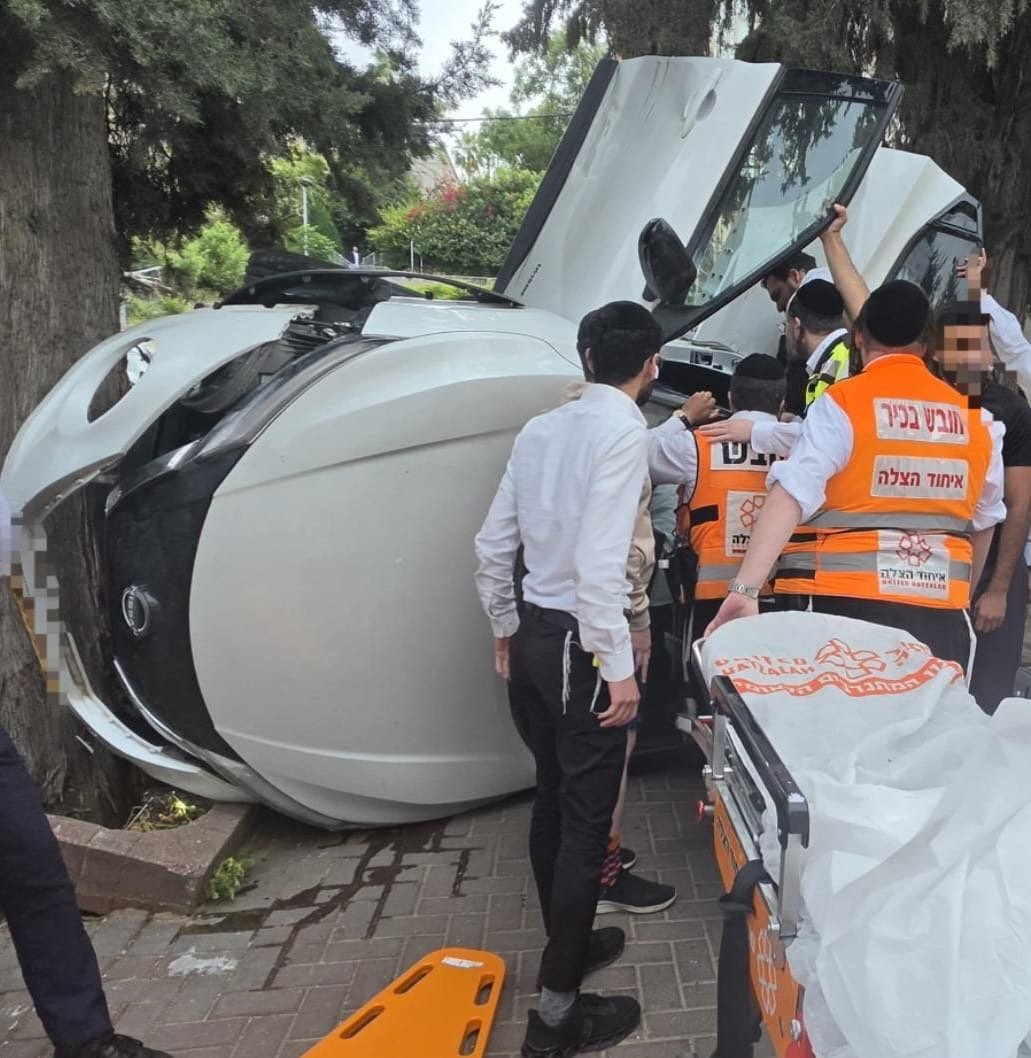 דוברות איחוד הצלה