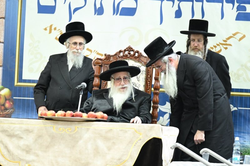 משה גולדשטיין