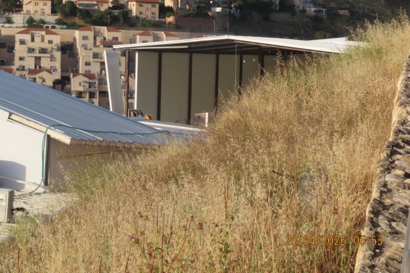 באדיבות המצלם