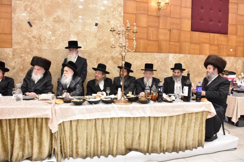 יהודה פרקוביץ