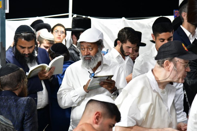 יוסי לוי