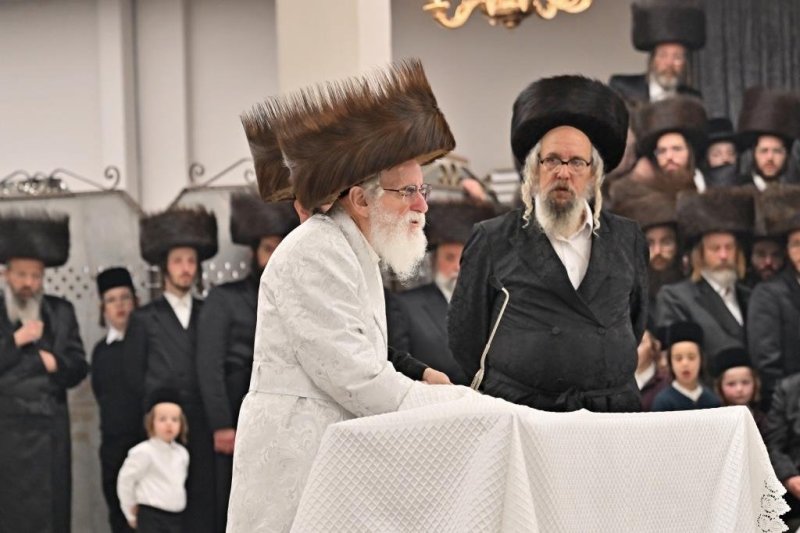 יהושע פרוכטר