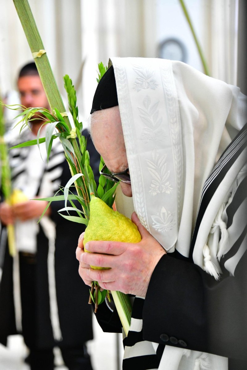 שוקי לרר