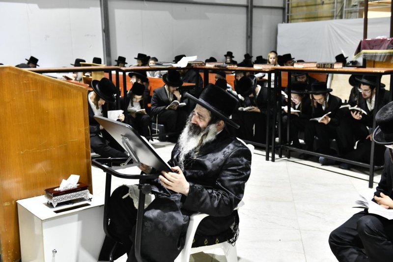 שוקי לרר