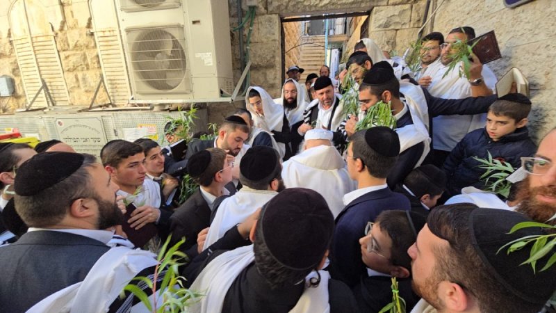 שלומי טריכטר ומ.פ