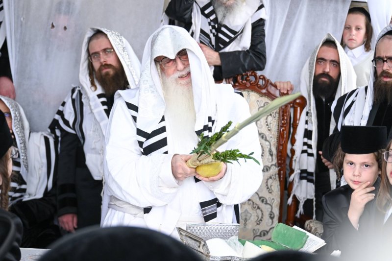 משה גולדשטיין