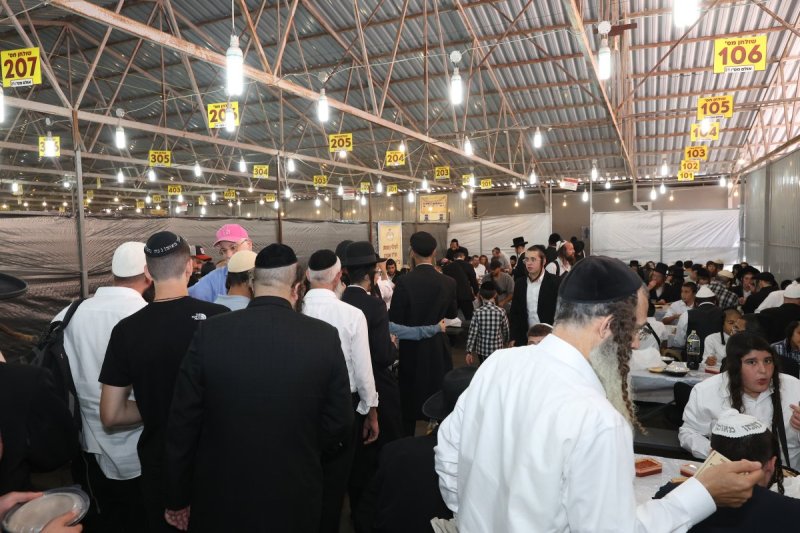 יהודה וויס