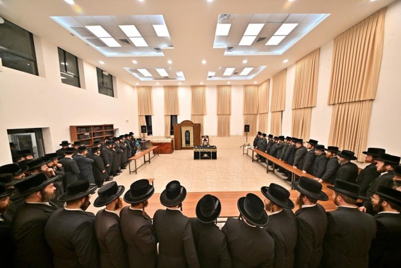 יהושע פרוכטר