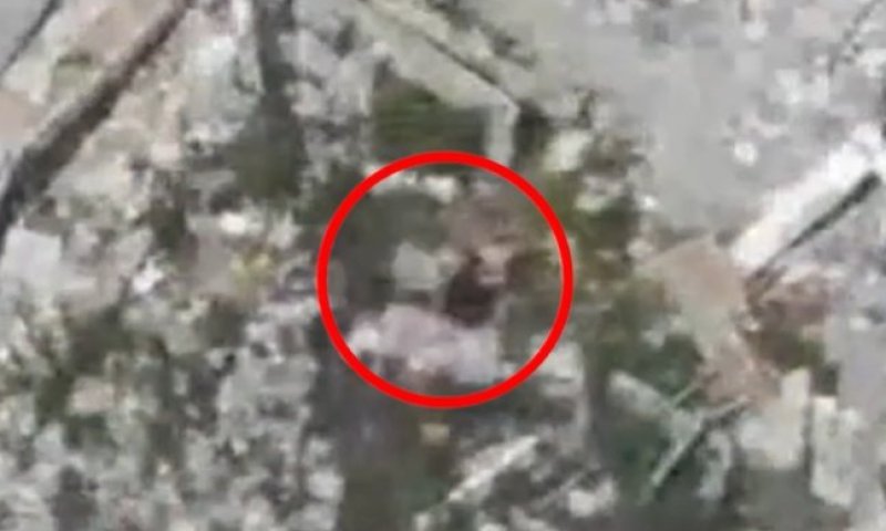 תיעוד: חוסלה חוליית מחבלי חמאס חמושים בצפון רצועת עזה
