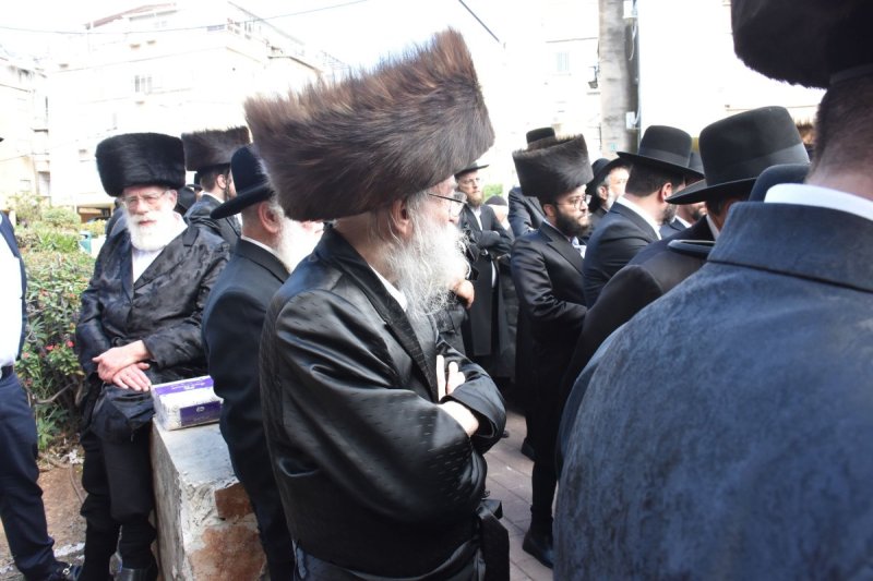 יהודה פרקוביץ