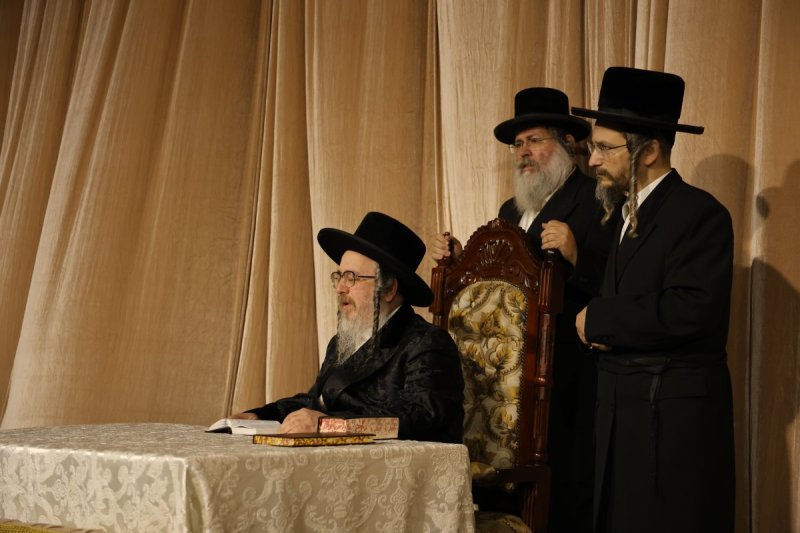 נתי אמרגי