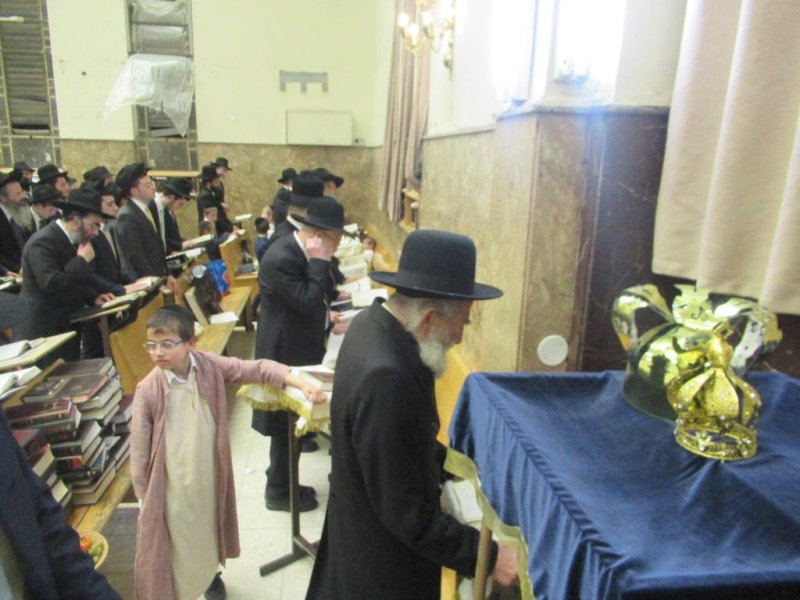 באדיבות המצלם