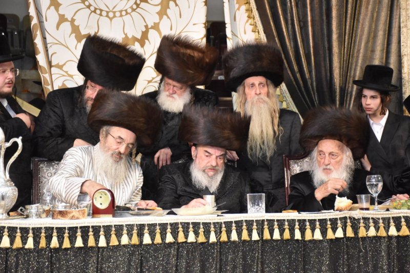 יהודה פרקוביץ