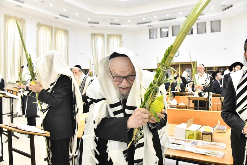 שוקי לרר