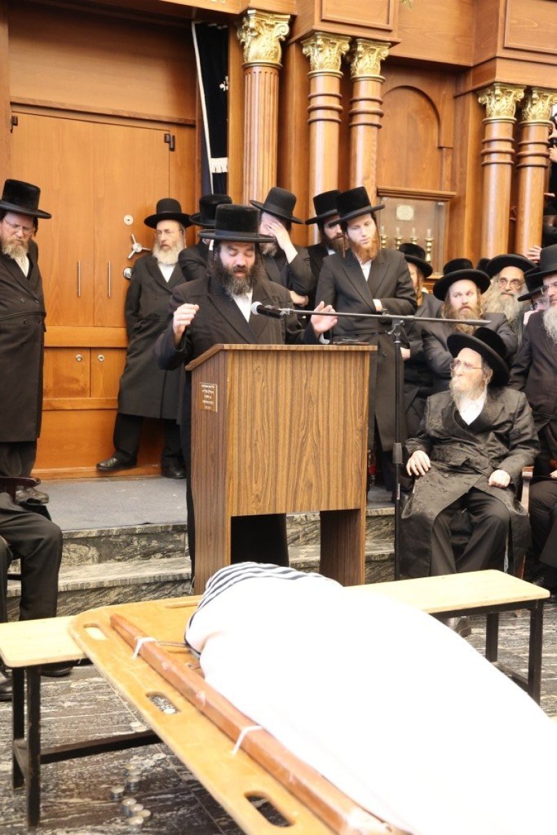 שלומי טריכטר