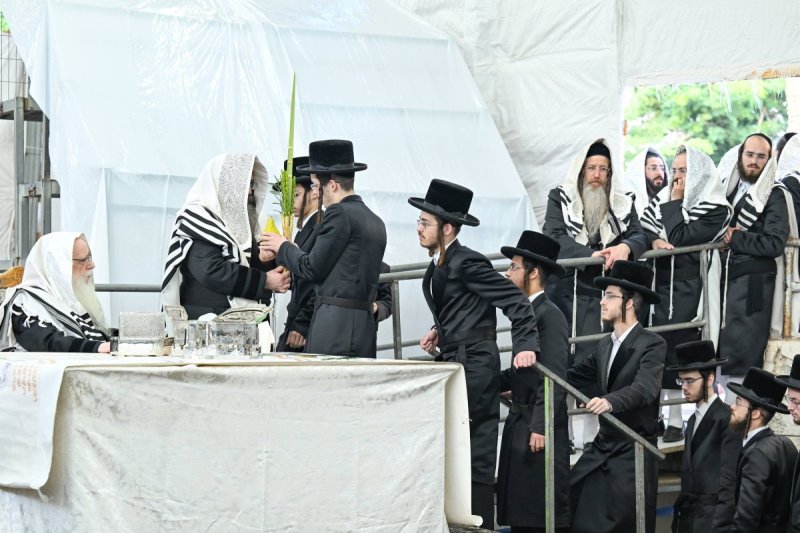 משה גולדשטיין