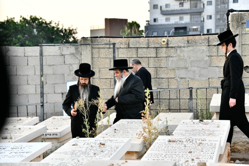 שוקי לרר