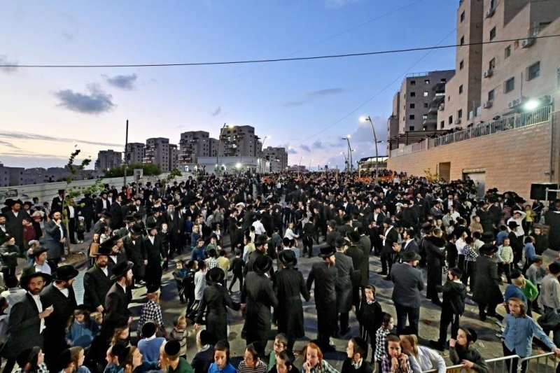 יהושע פרוכטר