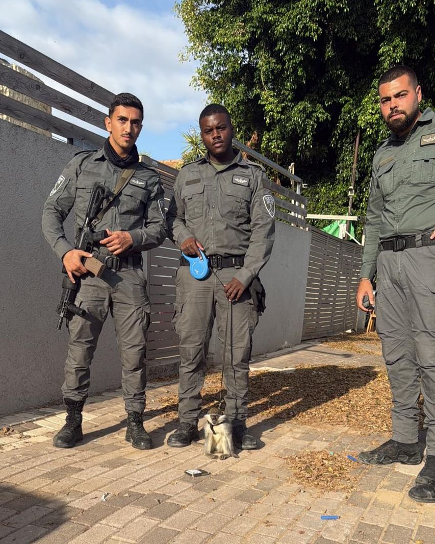 דוברות המשטרה