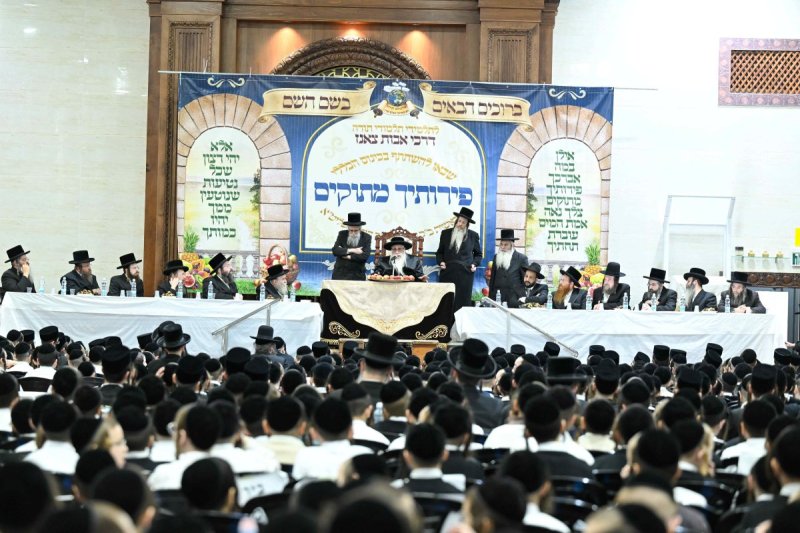 משה גולדשטיין