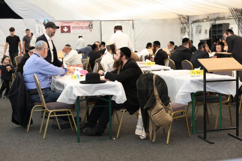 יהודה וויס