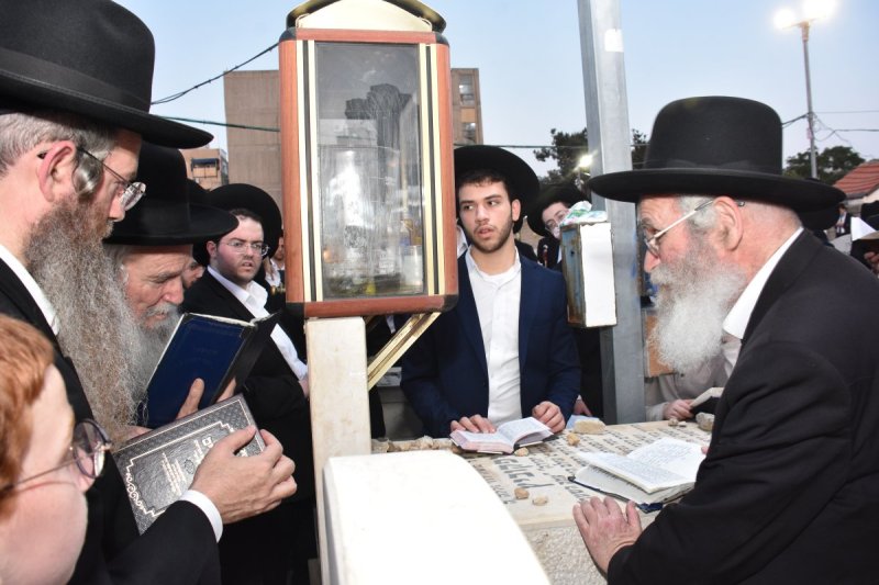 יהודה פרקוביץ