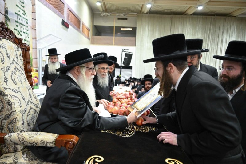 משה גולדשטיין