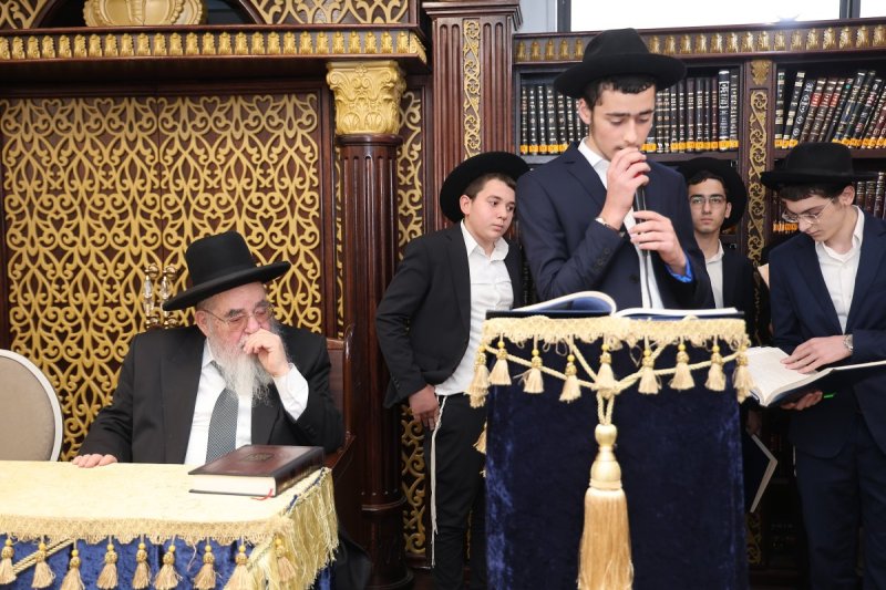 נועם אליהו