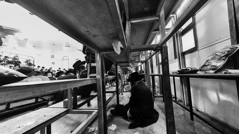 שוקי לרר