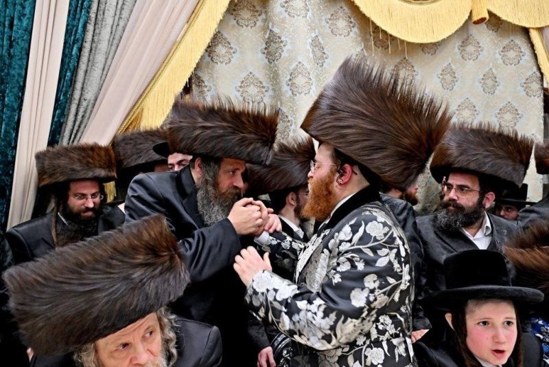 יהושע פרוכטר