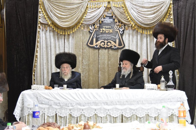 יהודה פרקוביץ