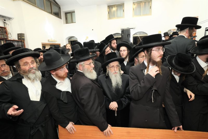 דוד ארזני וארי קופרשטוק