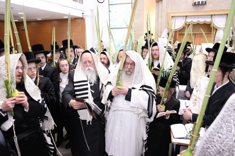 שוקי לרר, אברומי ברגר ומ.ש