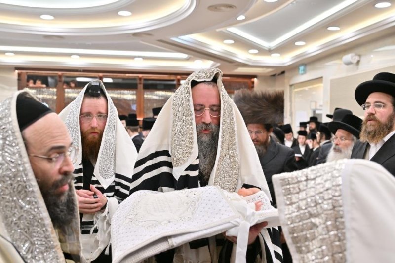 יהושע פרוכטר