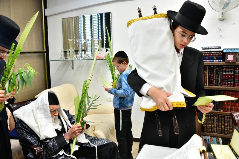 שוקי לרר