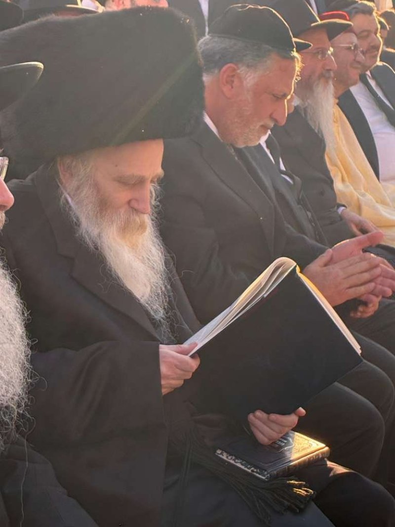 באדיבות המצלם