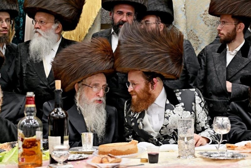 יהושע פרוכטר