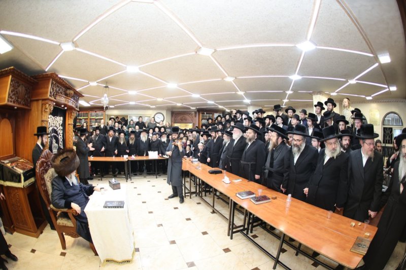 שלומי טריכטר