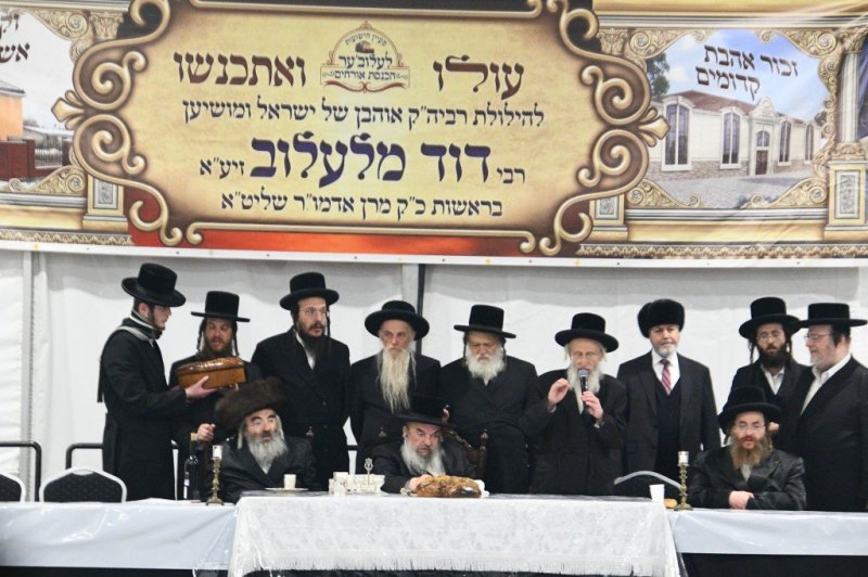 ארי קופרשטוק