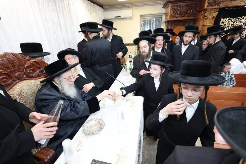 שלומי טריכטר