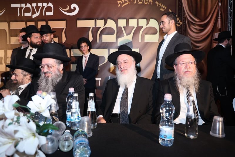 נועם אליהו