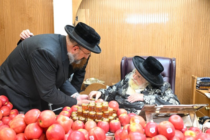 משה גולדשטיין