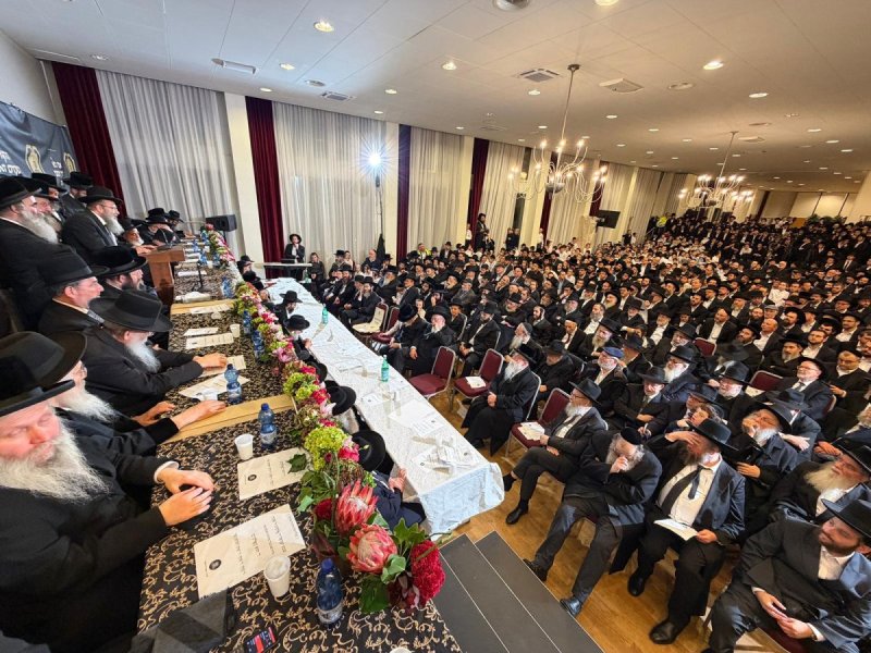 דניאל נפוסי ומאיר זלזניק